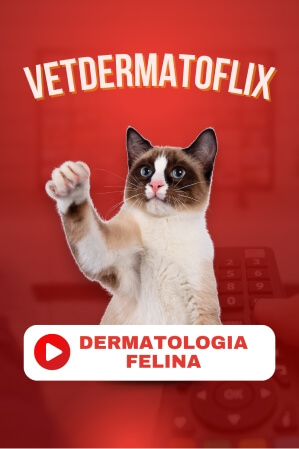 Dermatologia Felina