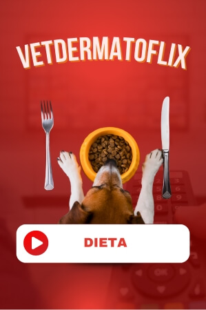 Dieta