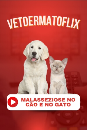 Malasseziose no Cão e no Gato