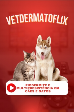 Piodermite e Multirresistência em cães e gatos